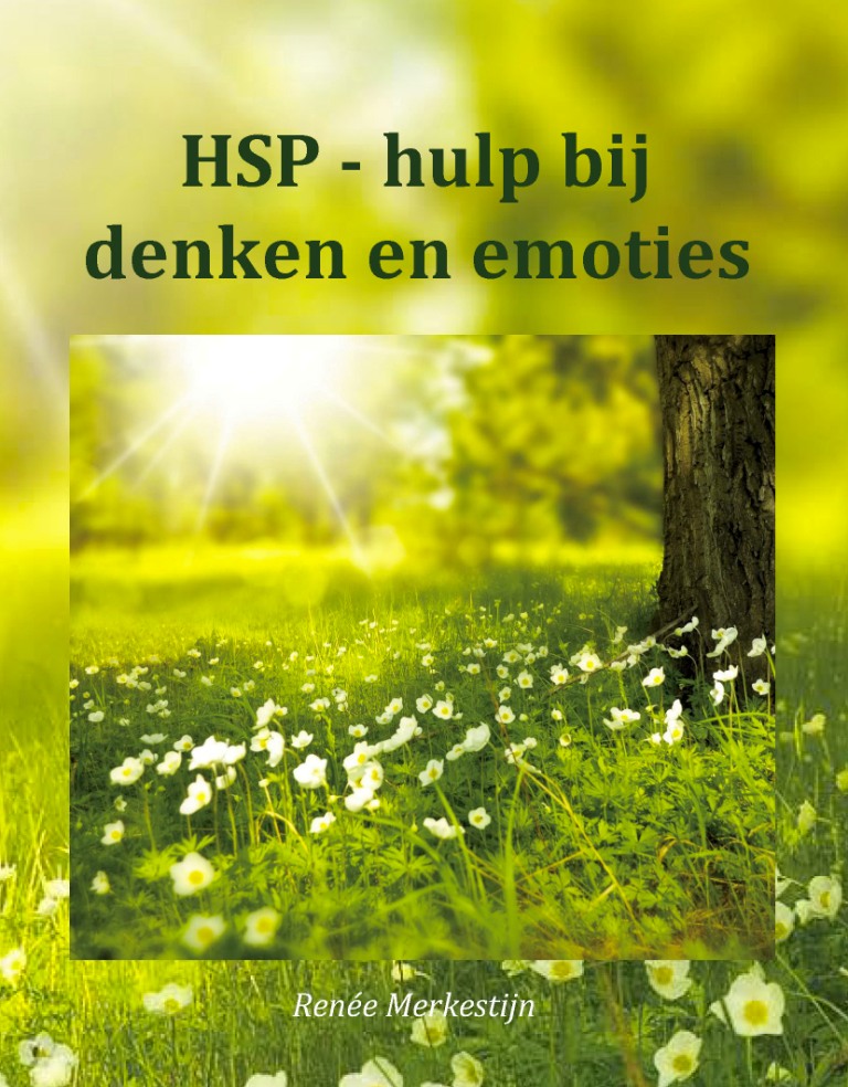 E-book HSP-hulp bij denken en emoties